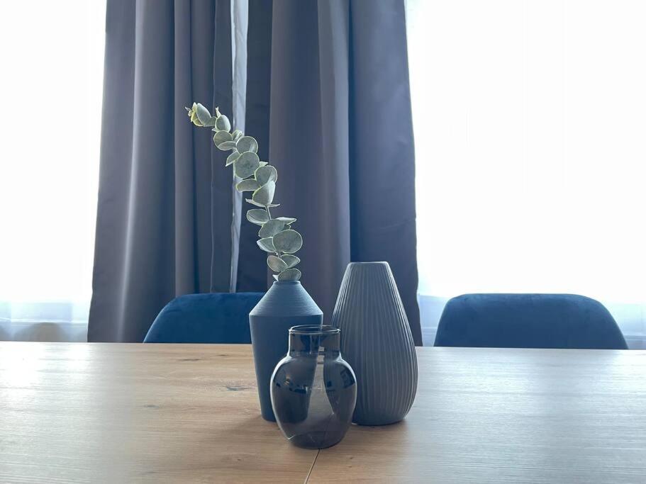 Lucky Stays Ls10 - Vollausstattung - Zentrum - Aufzug - Grosse Kueche - 2 Zimmer - Smart-Tv Magdeburg Eksteriør billede