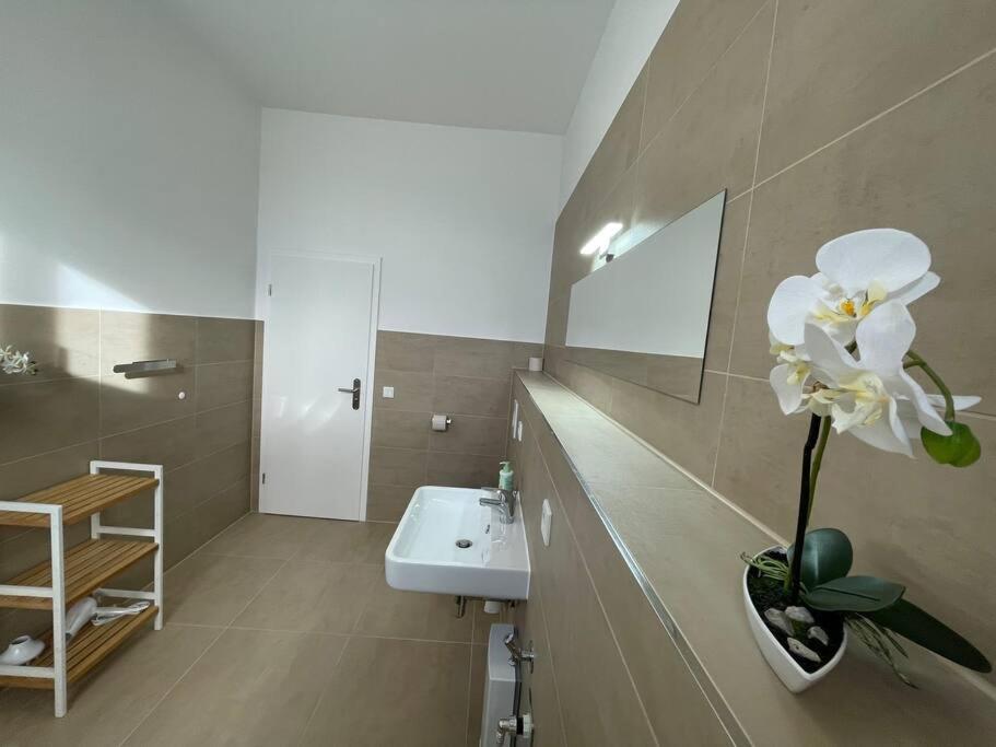 Lucky Stays Ls10 - Vollausstattung - Zentrum - Aufzug - Grosse Kueche - 2 Zimmer - Smart-Tv Magdeburg Eksteriør billede
